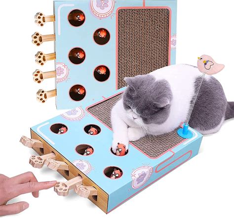 The Top 5 Magic Cat Scratching Toys for Kittens